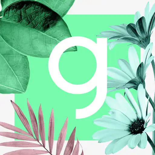 Play Glee Connect APK