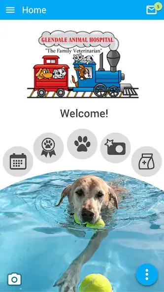 Play Glendale Animal Hospital  and enjoy Glendale Animal Hospital with UptoPlay