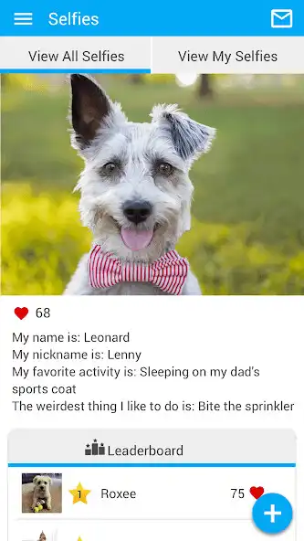 Play Glendale Animal Hospital as an online game Glendale Animal Hospital with UptoPlay