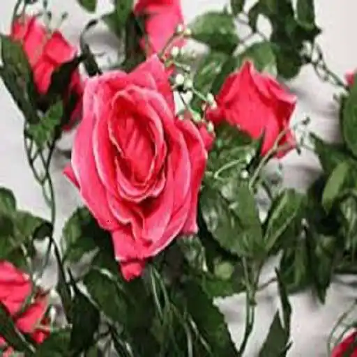 Play GLIMPSES OF PROBLEMS - MISC APK