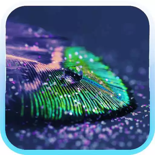 Play Glitter HD Wallpapers APK Play Glitter HD Wallpapers APK