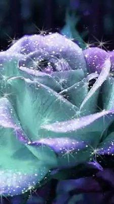 Play glitter rose wallpaper
