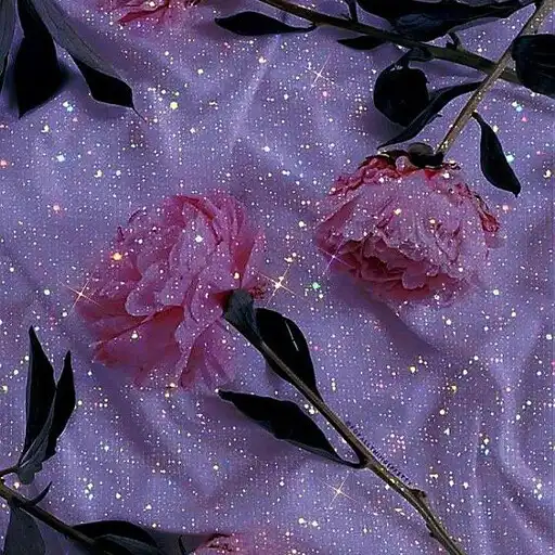 Play Glitter wallpaper 4D APK Play Glitter wallpaper 4D APK