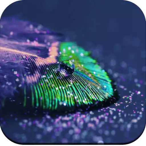 Play Glitter wallpaper 4K APK