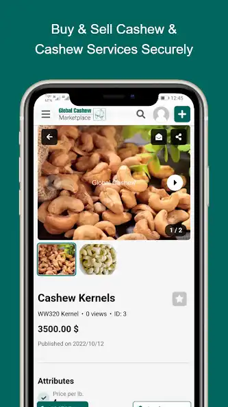 Play Global Cashew Marketplace as an online game online Global Cashew Marketplace with UptoPlay Play Global Cashew Marketplace as an online game Global Cashew Marketplace with UptoPlay