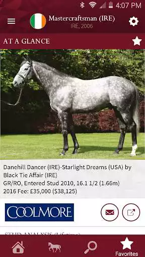 Play Global Stallions