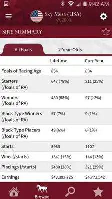 Play Global Stallions