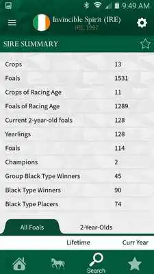 Play Global Stallions
