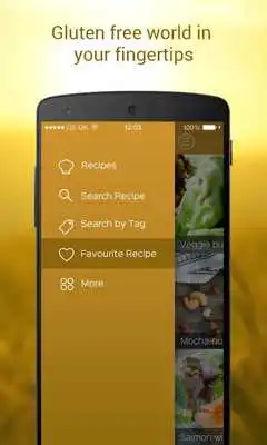 Play gluten free food recipes