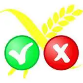 Free play online Gluten or Not Gluten APK Free play online Gluten or Not Gluten APK