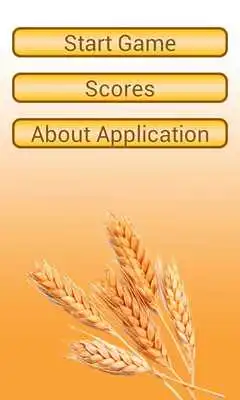Play Gluten or Not Gluten