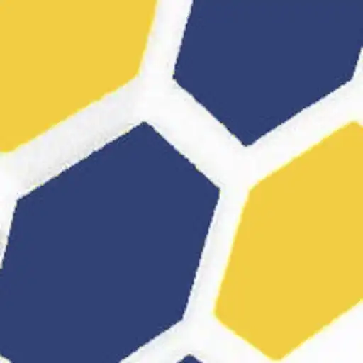 Play GME Audit 5S Demo APK