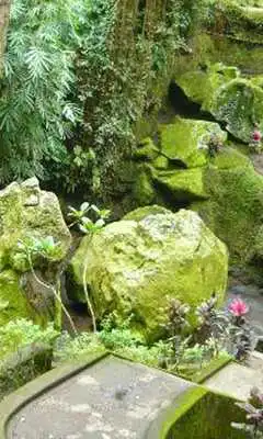 Play Goa Gajah Elephant Cave Wallpa