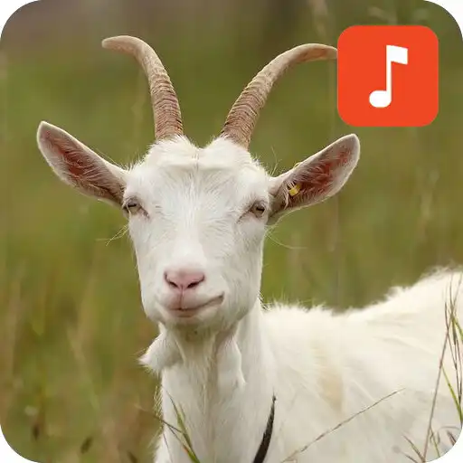 Play Goat Sound Effects APK Play Goat Sound Effects APK