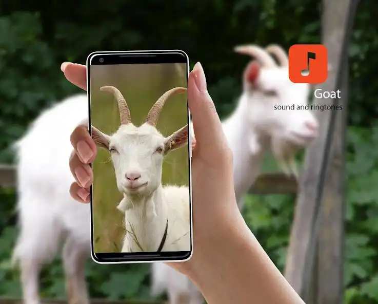 Play Goat Sound Effects  and enjoy Goat Sound Effects with UptoPlay