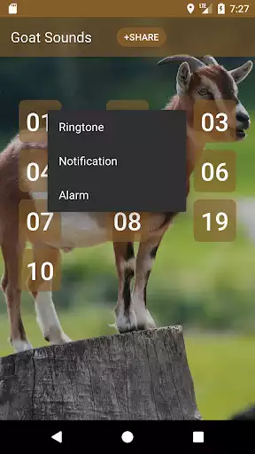 Play Goat Sounds as an online game Goat Sounds with UptoPlay