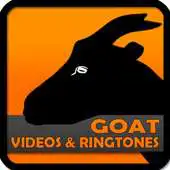 Free play online GOAT videos ringtones APK Free play online GOAT videos ringtones APK