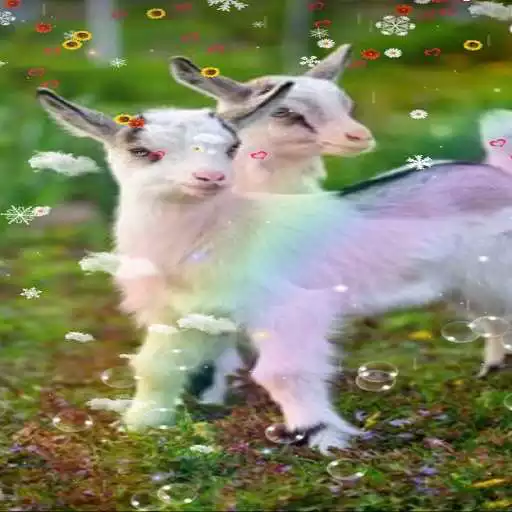 Free play online Goat Wallpaper APK Free play online Goat Wallpaper APK