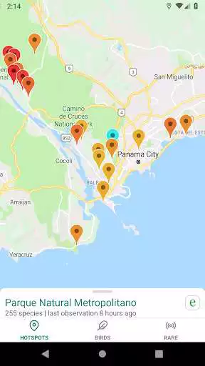 Play APK GoBird - Guide to Nearby Birds  and enjoy GoBird - Guide to Nearby Birds with UptoPlay com.thenerdbirder.GoBird