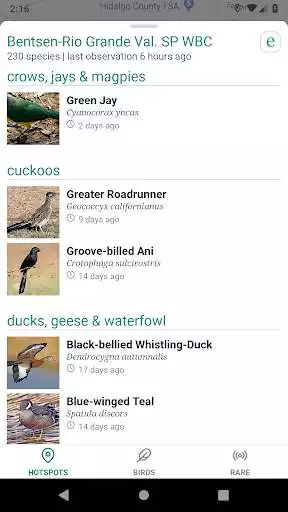 Play APK GoBird - Guide to Nearby Birds  and enjoy GoBird - Guide to Nearby Birds with UptoPlay com.thenerdbirder.GoBird