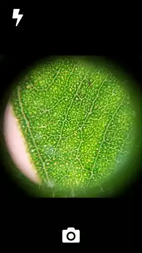 Play GoCamera - Microscopic Camera as an online game online GoCamera - Microscopic Camera with UptoPlay co.gomicro Play GoCamera - Microscopic Camera as an online game GoCamera - Microscopic Camera with UptoPlay