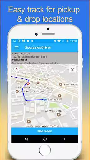 Play Go Crazies Driver