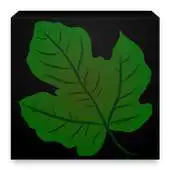 Free play online God Has More APK