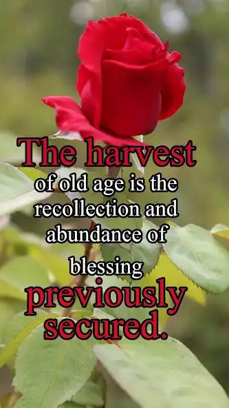 Play Gods Blessings  and enjoy Gods Blessings with UptoPlay