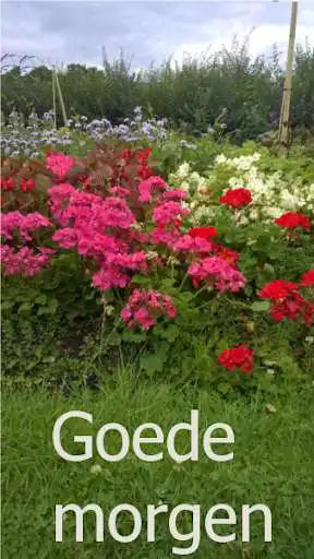 Play Goedemorgen  and enjoy Goedemorgen with UptoPlay