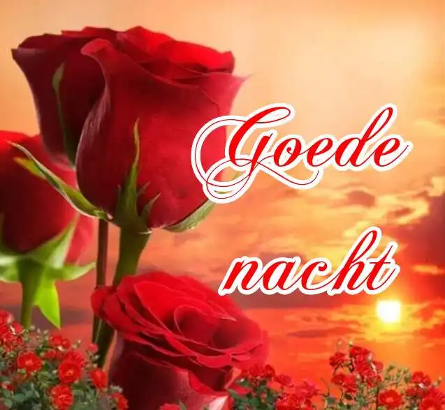 Play Goede nacht  Slaap lekker  and enjoy Goede nacht  Slaap lekker with UptoPlay