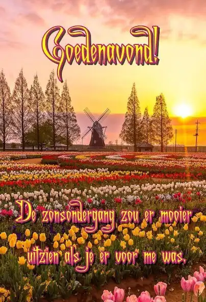 Play Goedenavond!  and enjoy Goedenavond! with UptoPlay