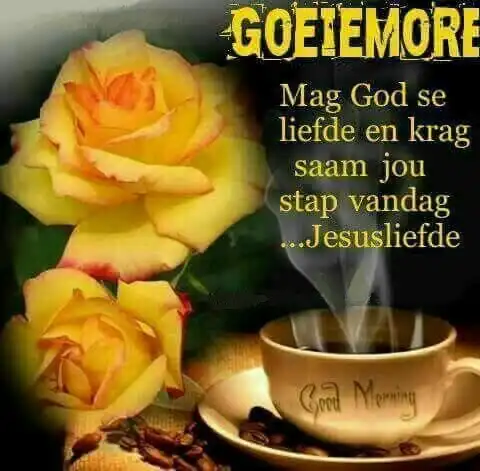 Play Goeiemore  and enjoy Goeiemore with UptoPlay