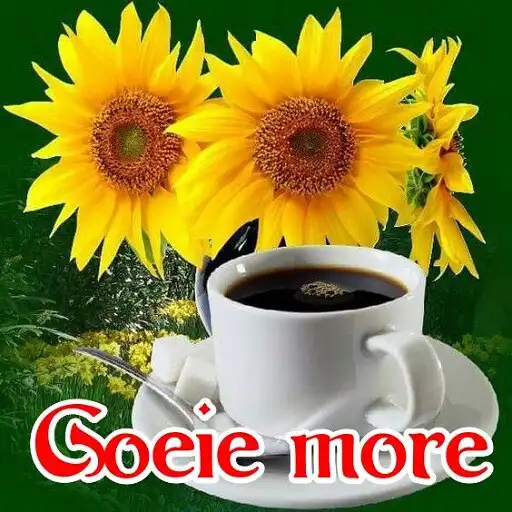 Play Goeie môre Beelde  and enjoy Goeie môre Beelde with UptoPlay