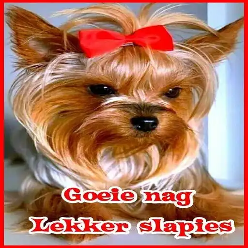 Play Goeie nag Lekker slapies APK