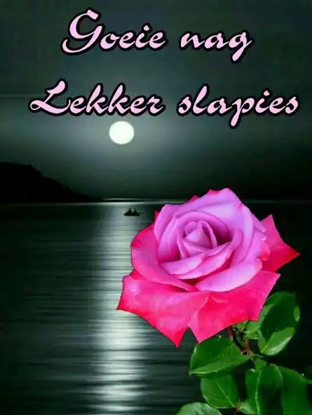 Play Goeie nag Lekker slapies  and enjoy Goeie nag Lekker slapies with UptoPlay