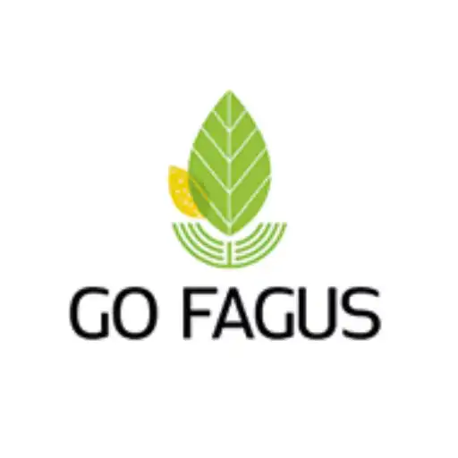 Play GoFagus APK Play GoFagus APK