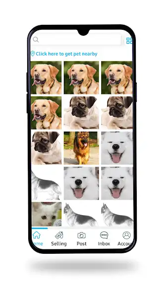 Play GoGetaPet  and enjoy GoGetaPet with UptoPlay