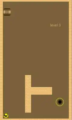 Play Gold Ball. Labyrinth