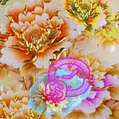 Free play online Gold Blossoms APK Free play online Gold Blossoms APK