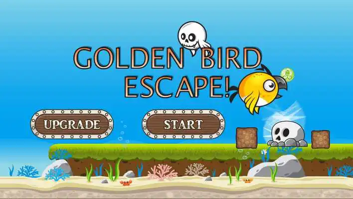Play Golden Bird, Escape!