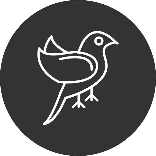 Play Golden Birds Game APK Play Golden Birds Game APK