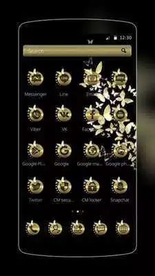 Play Golden Butterfly Lovers
