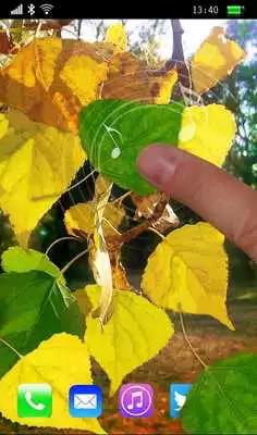 Play Golden Early Autumn Live Wallpaper