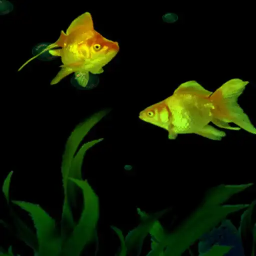 Play Golden Fishes Live Wallpaper APK Play Golden Fishes Live Wallpaper APK