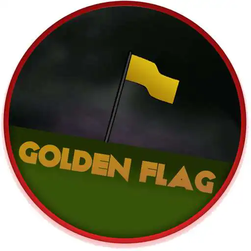 Play Golden Flag Multiplayer 3D APK
