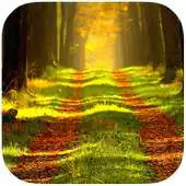 Free play online Golden Forests Best Theme APK