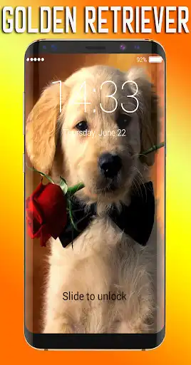 Play Golden Retriever Lock Screen  and enjoy Golden Retriever Lock Screen with UptoPlay