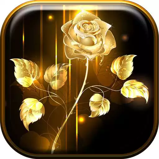 Play Golden Rose Live Wallpaper HD APK Play Golden Rose Live Wallpaper HD APK