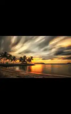 Play Golden Sunset Live Wallpaper