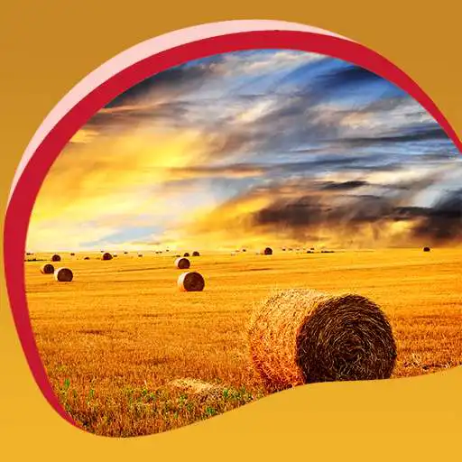 Free play online Golden Sunset Live Wallpapers  APK